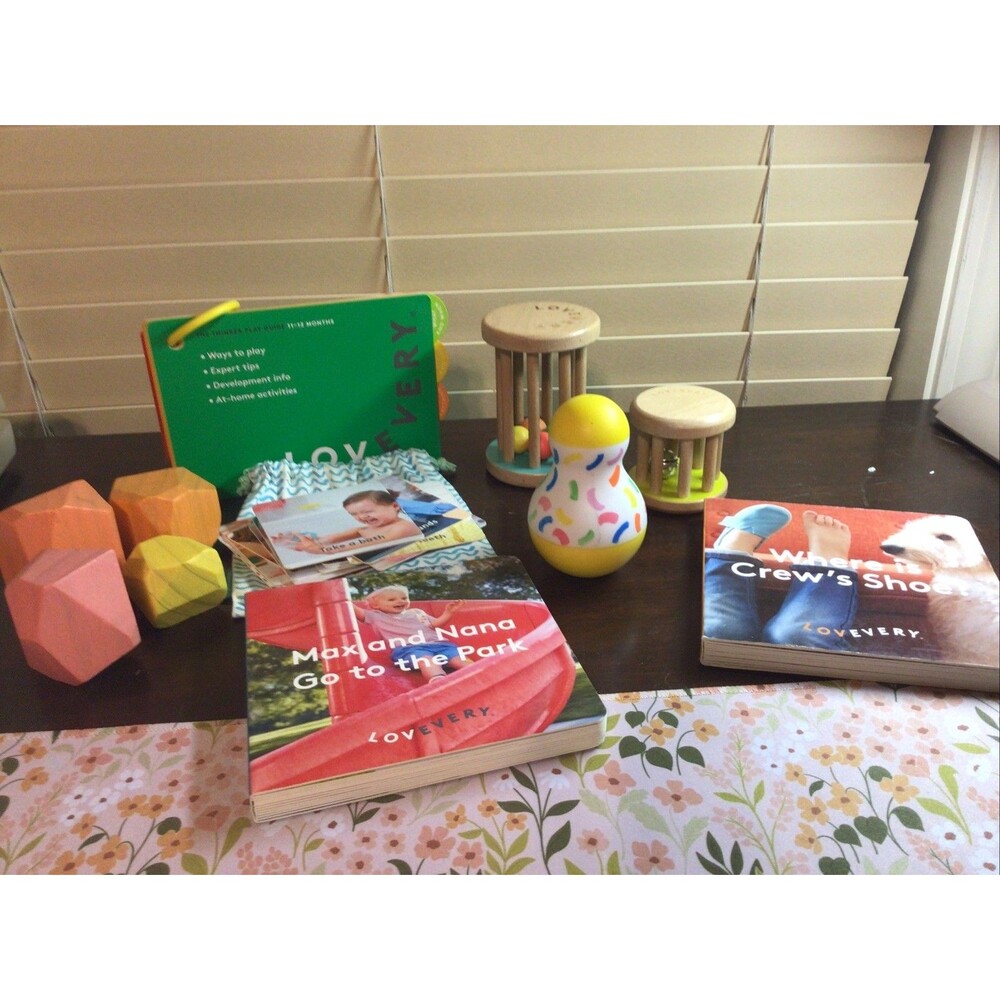 Lovevery Baby Play Kit Mixed Lot Wooden Montessori Toys Bundle